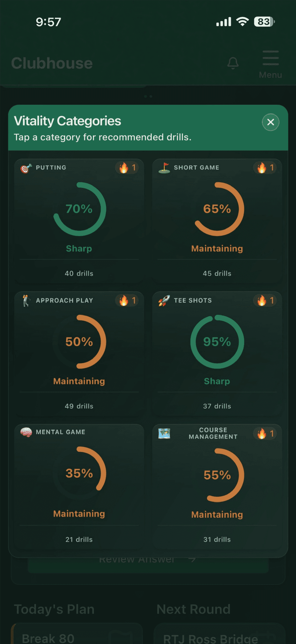 Actual Skill Vitality categories view