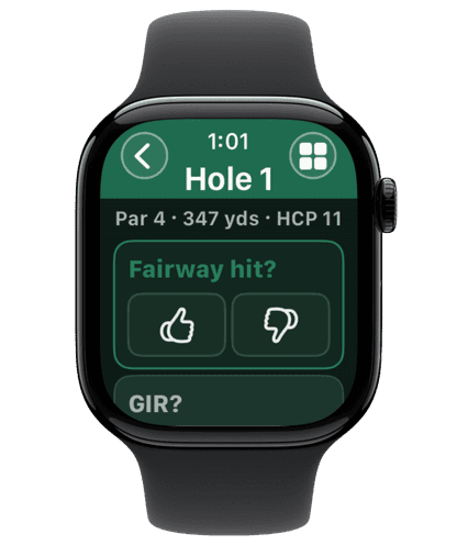 Actual Apple Watch quick stats