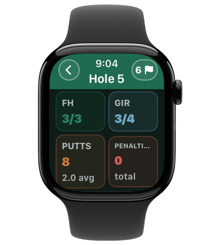 Actual Apple Watch stats dashboard